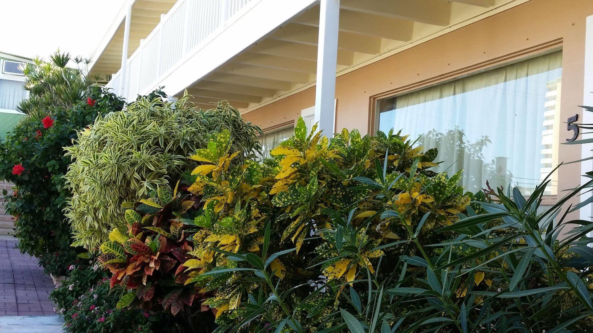 The Palms On Ocean Motel Pompano Beach Buitenkant foto